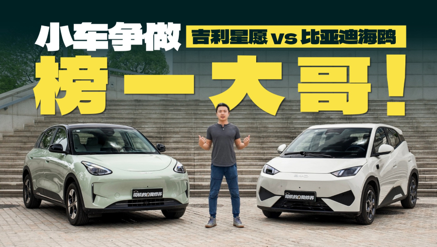 胖东来回应所售内裤掉色,规律九肖,最新核心解答落实_轻量版V7.36
